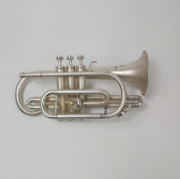boosey & hawkes regent