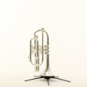 Besson Cornet BE723-731052