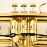 Yamaha Trompet YTR8335LA D82924