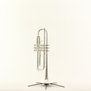 Trompet Bb Yamaha YTR-5335GSII