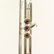 Trompet Bb Yamaha YTR-5335GSII