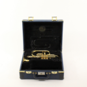 B&S Cornet Challenger II gelakt