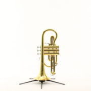 B&S Cornet Challenger II gelakt