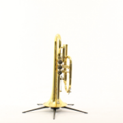 B&S Cornet Challenger II gelakt