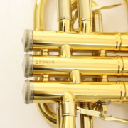 B&S Cornet Challenger II gelakt