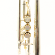 B&S Cornet Challenger CX verzilverd
