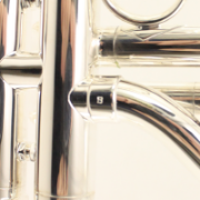 Schilke Eb Cornet Beryllium Beker
