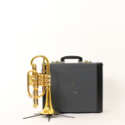 Cornet Bb Besson 2028 Prestige GL (Special Edition)