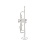 Vincent Bach stradivarius