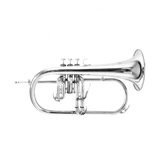 Bach Bugel FH501-s