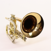 Willson Bb Cornet Celebration 421