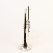Yamaha Bb Flugelhorn YFH631GS  Demo