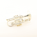 B&S Cornet Challenger CX verzilverd
