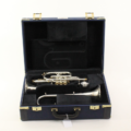 B&S Cornet Challenger CX verzilverd