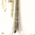 B&S Cornet Challenger CX verzilverd
