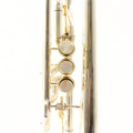 B&S Cornet Challenger CX verzilverd